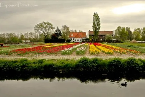 Turismo rural en Holanda