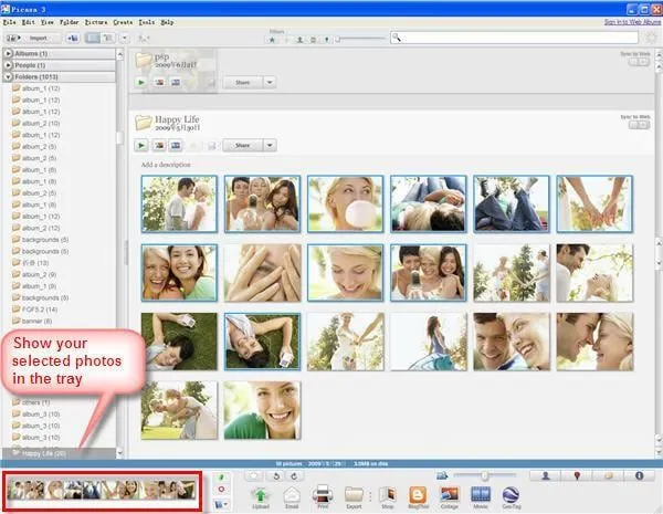 Turn Picasa Photos to Photo Video Slideshow