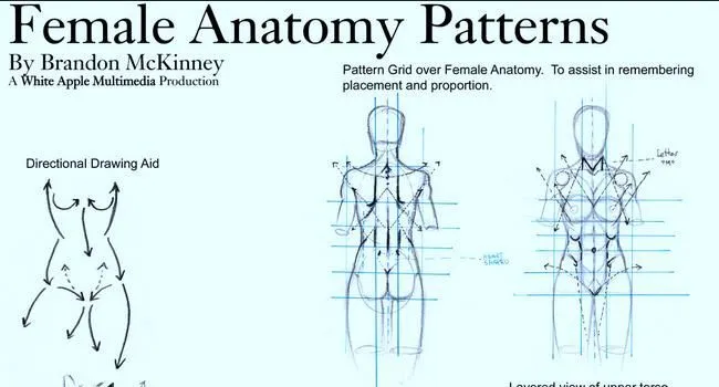 Tutoriales para dibujar rostros, manos y partes del cuerpo humano ...