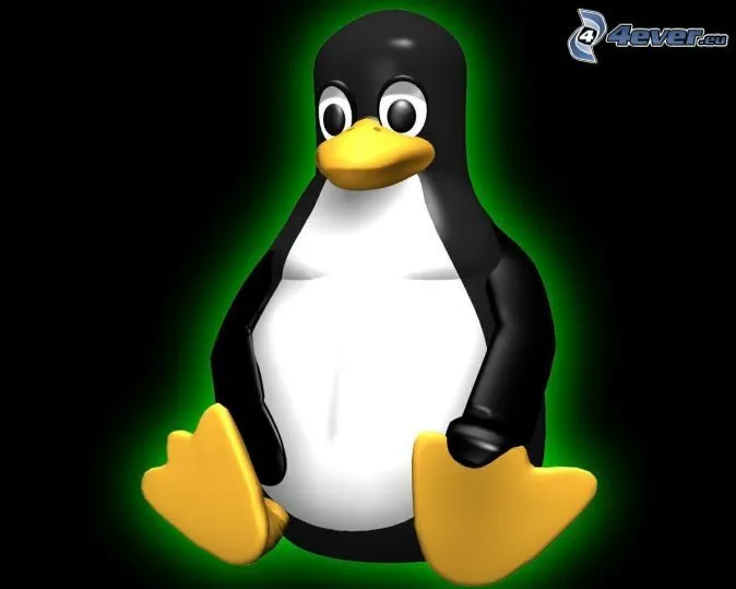 tux,-pinguino,-linux-124356.jpg