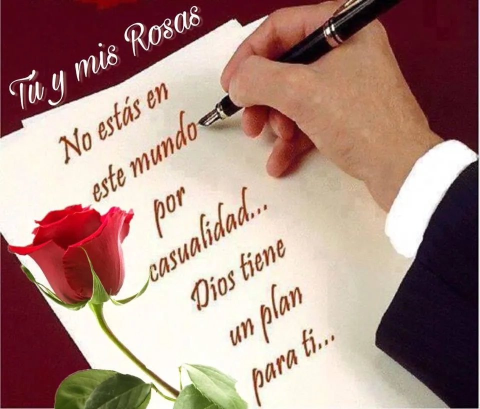 tuymisrosas) no Meadd: “Buenas Tarde Mi Gente Linda. *'¨) ¸.•*¨) (¸.•'  (¸.•' 