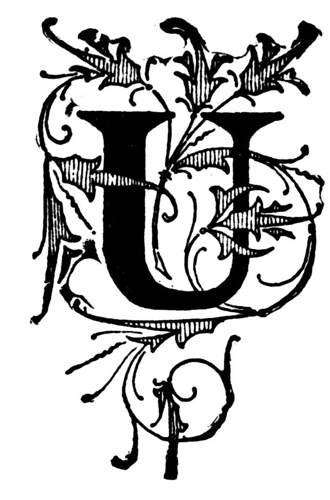 U, Floral initial | ClipArt ETC