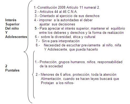 La ubicación del derecho social en el Ecuador y su importancia ...