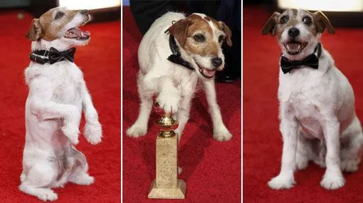 Uggie, el perro actor que ganó un Globo de Oro | Cine ...