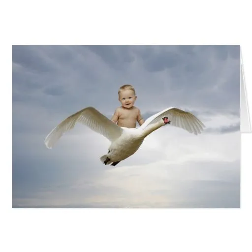 un_bebe_y_el_cielo_del_cisne_ ...