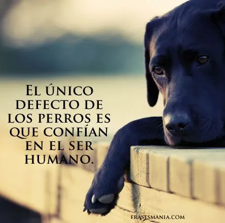 El único defecto de los perros es que .... Frases.