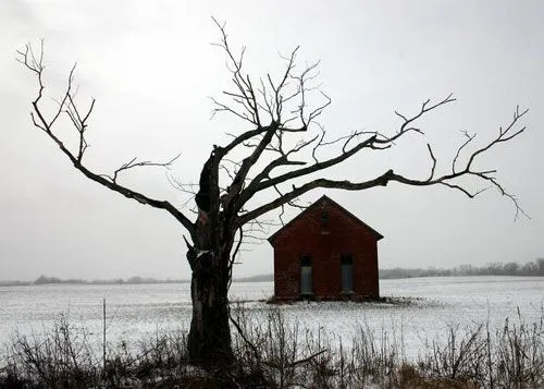 Used to be a) Cha Cha: Árbol de Ramas Tristes