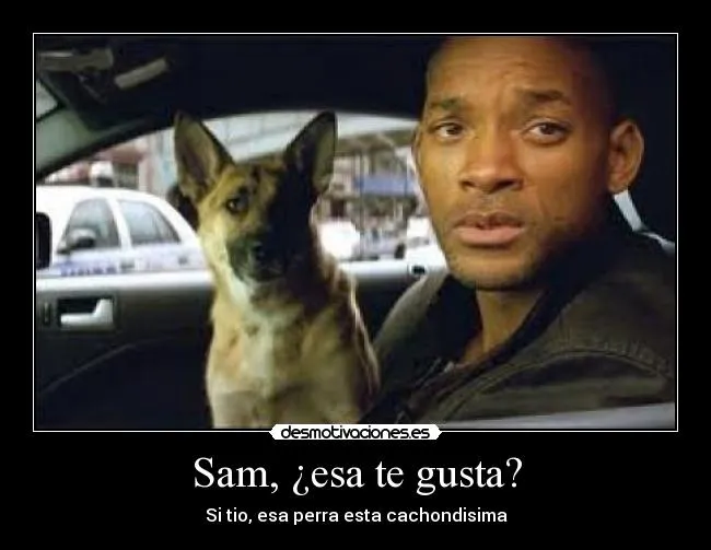 Usuario: Carlosstinson | Desmotivaciones