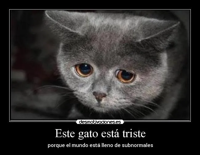 Usuario: Chimbitosgirl | Desmotivaciones