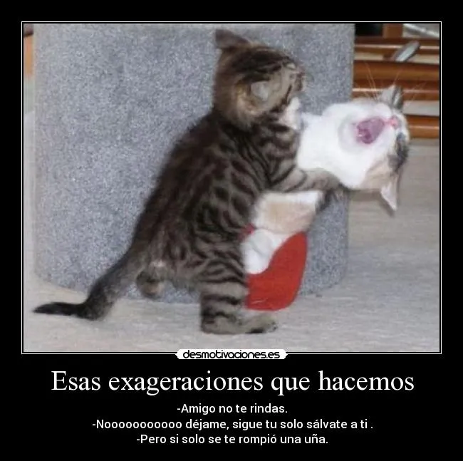 Usuario: Ck_DVD | Desmotivaciones