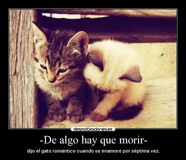 Usuario: desmotivada1807 | Desmotivaciones