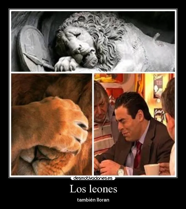 Usuario: fallen tree | Desmotivaciones