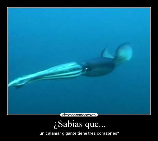 Usuario: gami97 | Desmotivaciones