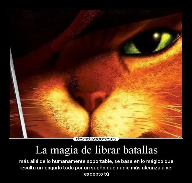 Usuario: El gatito con botas | Desmotivaciones