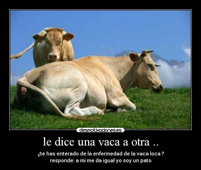 Usuario: maral | Desmotivaciones