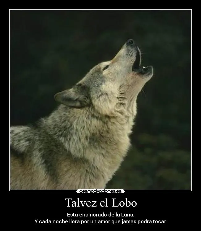 Talvez el Lobo | Desmotivaciones