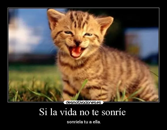 Usuario: Smile.Always. | Desmotivaciones