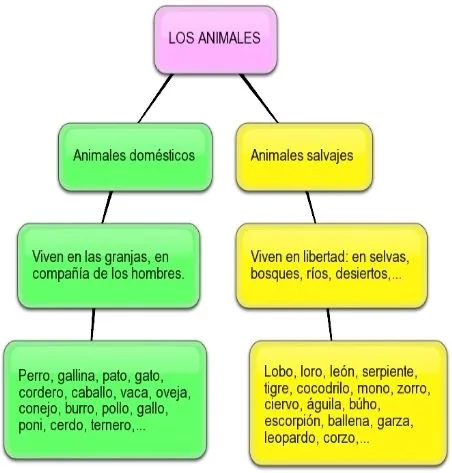 Por Qué es Bueno Utilizar Esquemas al Estudiar? | TECNICAS PARA ...