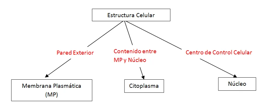 Por Qué es Bueno Utilizar Esquemas al Estudiar? | TECNICAS PARA ...