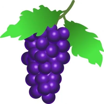Uvas en caricatura - Imagui