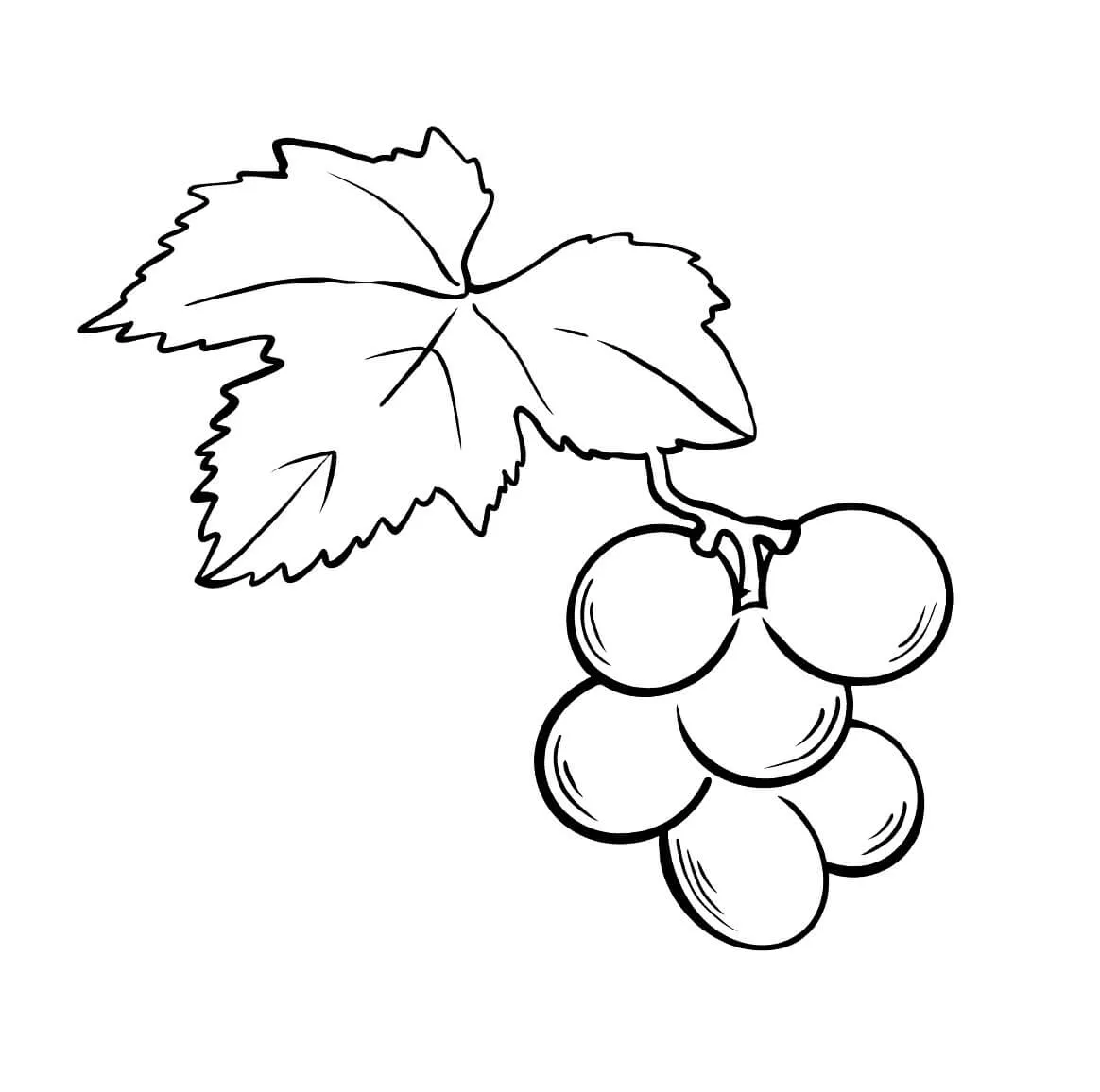 Uvas con Hoja para colorear, imprimir e dibujar –ColoringOnly.Com