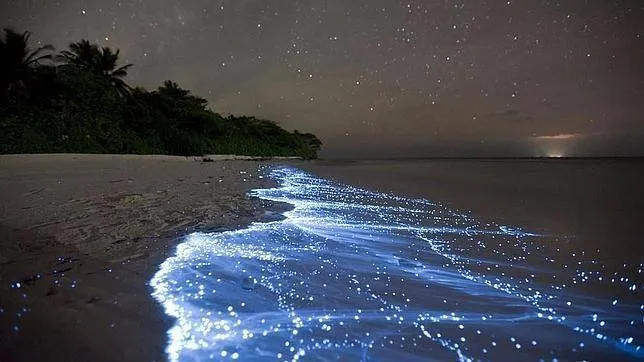 Vaadhoo, la playa que brilla en la oscuridad - ABC.es