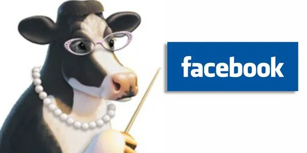 La Vaca Morada | Hacemos Webs 2.0 y Apps a la medida, tenemos ...