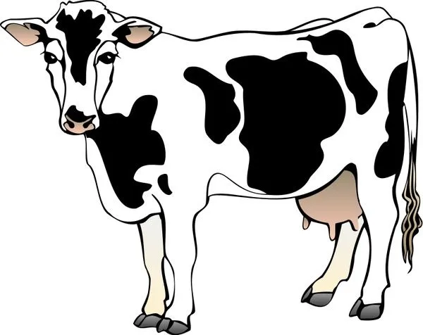 Vaca 4 Vector de imágenes prediseñadas - vectores gratis para su ...