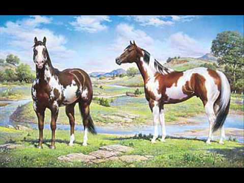 vacas y caballos - YouTube