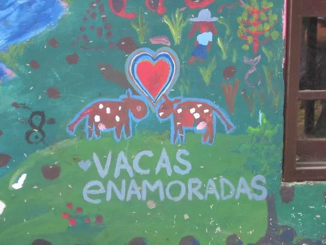 Vacas Enamoradas | Flickr - Photo Sharing!