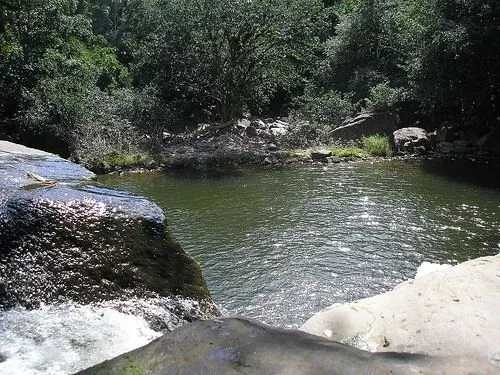 El Valle de Alto Mayo, cascadas, flora y fauna en la selva peruana