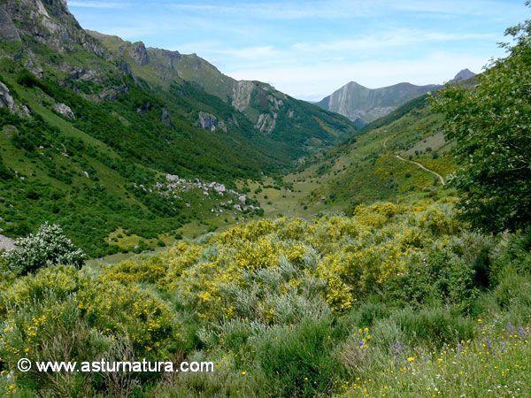 Valle de Saliencia