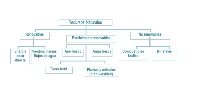 Valores