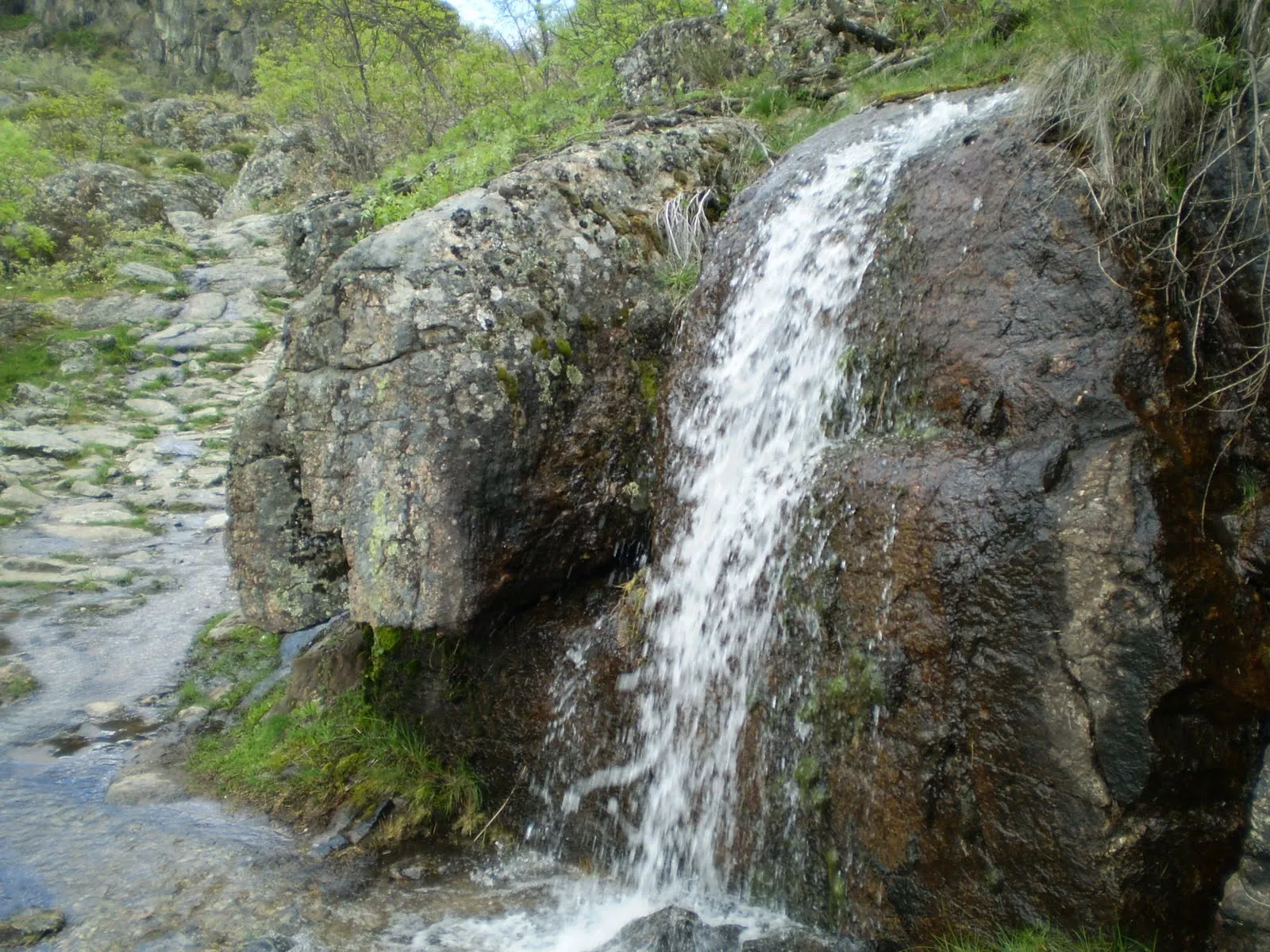 Valverde de Lucerna: mayo 2010