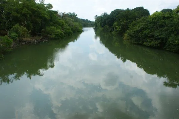 VaXtuxpan. Periodismo Virtual.: UV Y CETMAR QUIEREN UN MEDIO ...