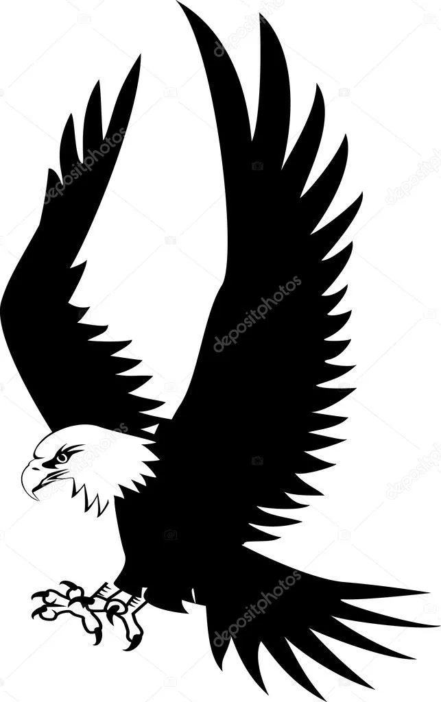 vector de águila — Vector stock © dagadu #