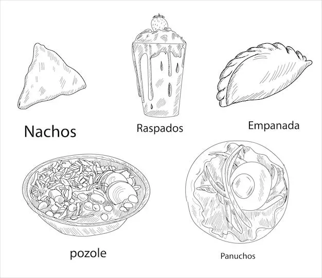 Vector de alimentos mexicanos. los mejores platillos mexicanos. ilustración  de conjunto de comida latinoamericana. | Vector Premium