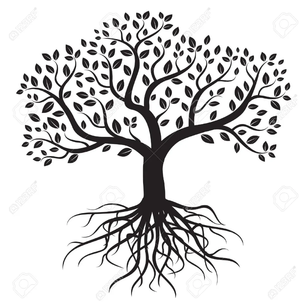 Vector árbol con raíces y hojas. Foto de archivo - 40040049 | Ilustración  de árbol, Arte de árboles, Vector arbol