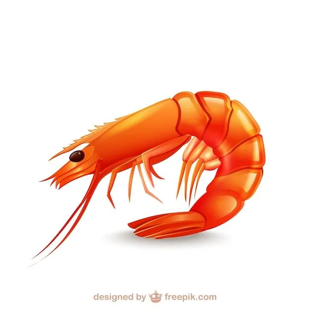 vector de camarones | Descargar Vectores gratis