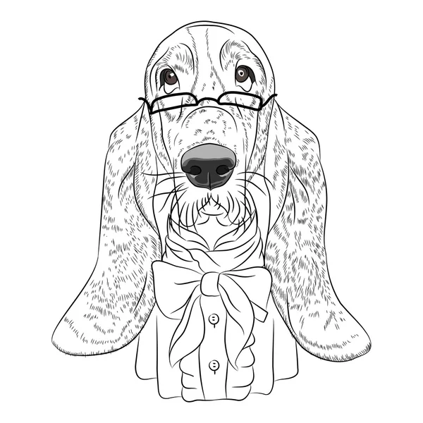 Vector de dibujos animados divertidos hipster perro basset hound ...