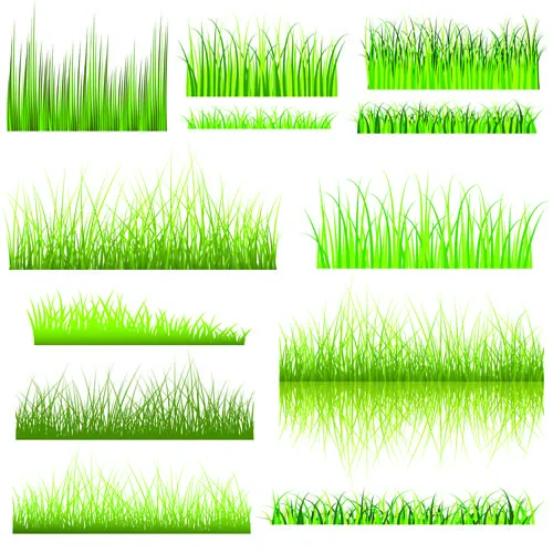 Vector Green Grass Elements set 06 - Vector Plant free download