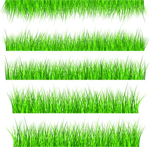 Vector Green Grass Elements set 01 - Vector Plant free download