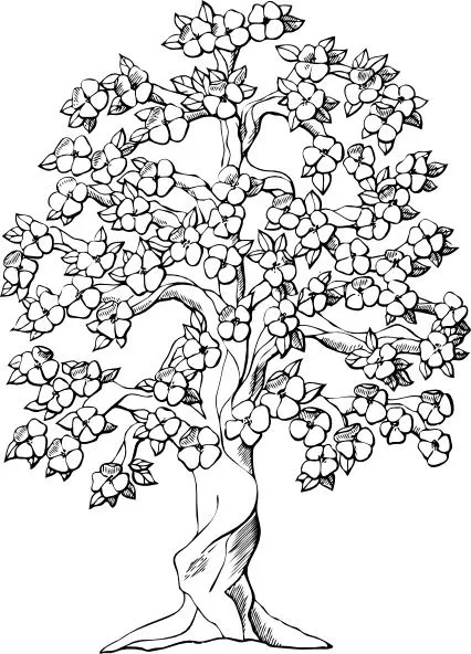  ... Vector de imágenes prediseñadas >> Árbol de floración clipart