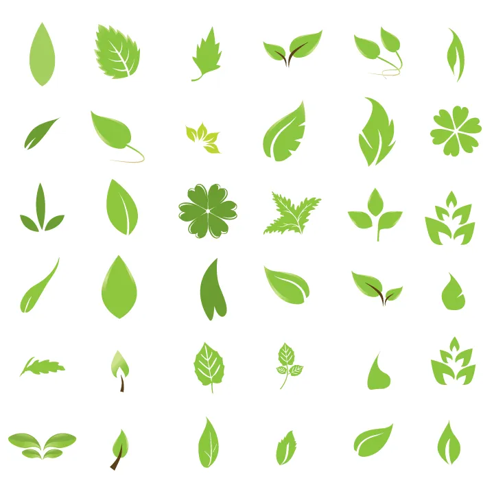 Vector pack: Hojas verdes | Diseño, ilustraciones vectoriales y ...