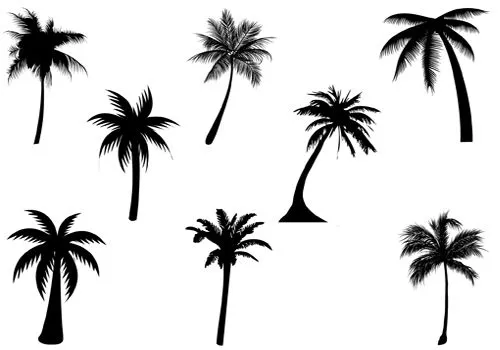 Vector Palm Tree Silhouette - ClipArt Best