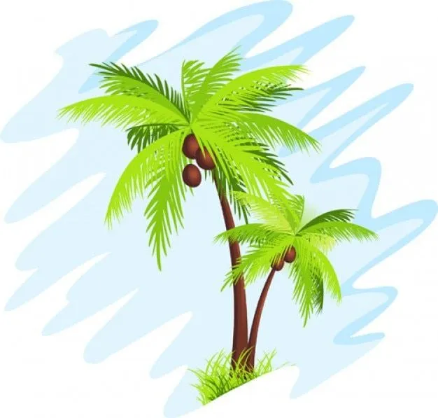 Vector de la palmera | Descargar Vectores gratis