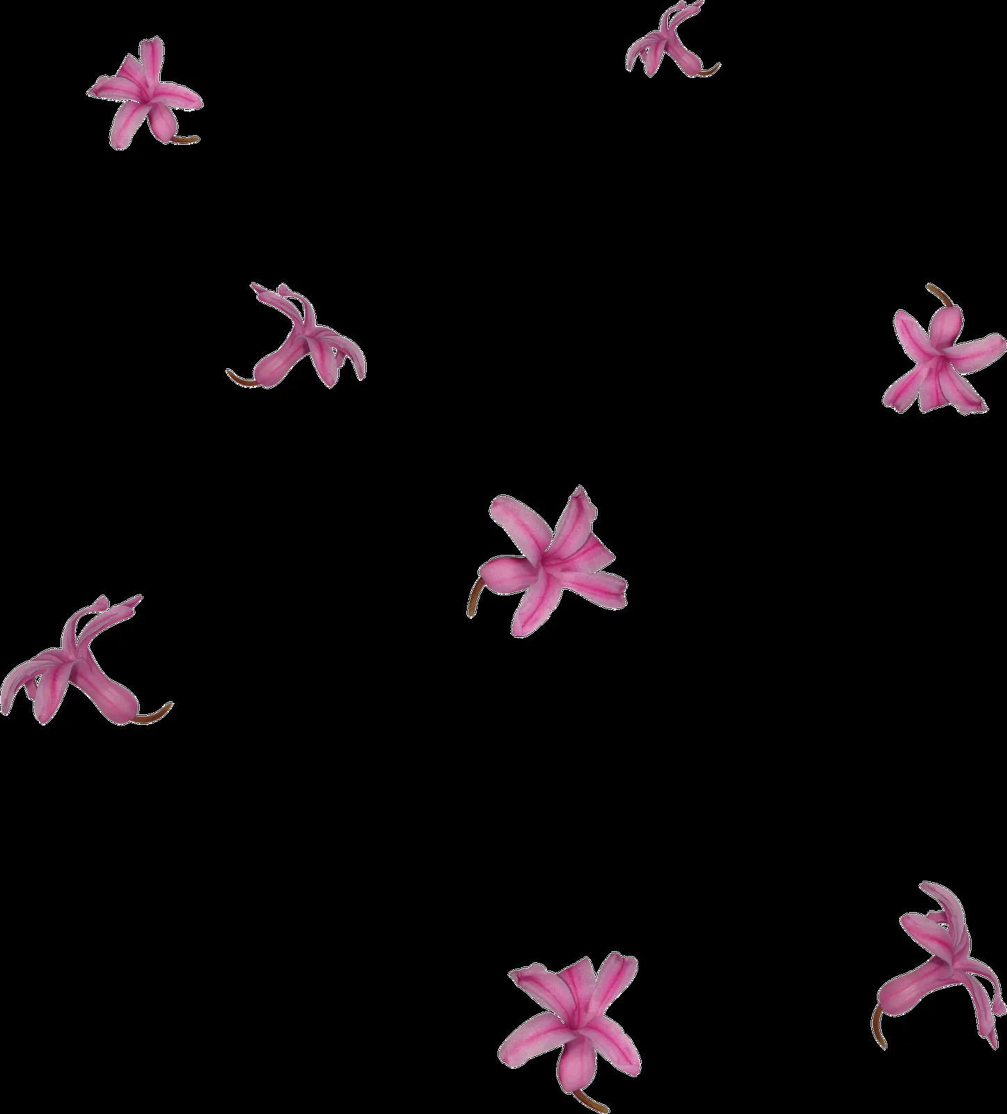 VECTORES FLORES PNG - Imagui