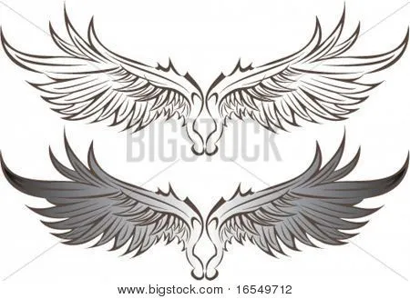 Vectores y fotos en stock de Alas de Vector | Bigstock