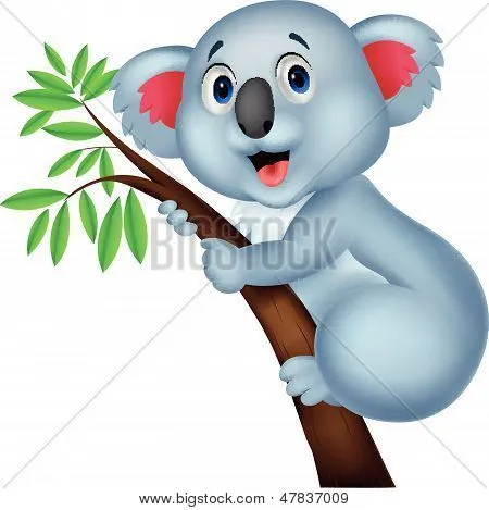 Vectores y fotos en stock de Caricatura lindo koala | Bigstock