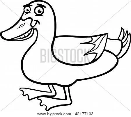 Vectores y fotos en stock de Dibujos animados de pato de granja ...